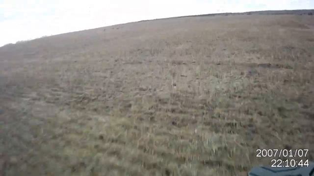 Погоня за косулями смотреть онлайн