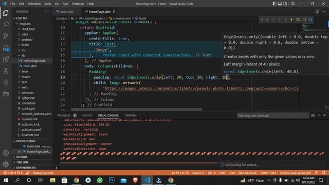 Flutter image , Asset Image, Network Image | Class - 13 | BD Online University смотреть онлайн