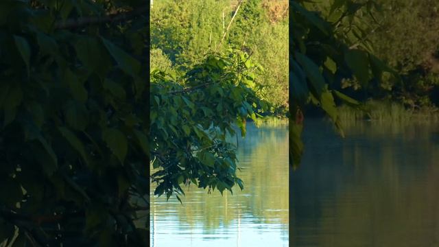 Идеальное местл для рыбалки смотреть онлайн