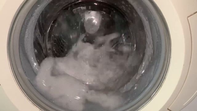 Bosch WFO2467GB/15 - Maintenance Wash 90° смотреть онлайн