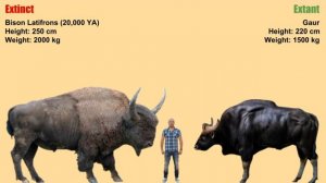 Extinct vs Extant Animals Size Comparison (Unmix 1) [Cooperation Megafauna]