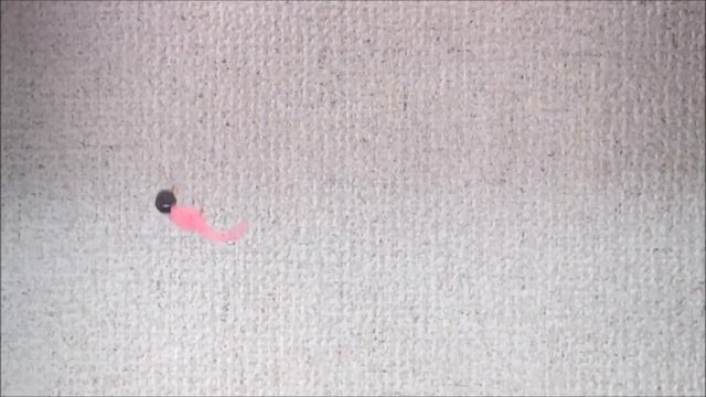 チョップ水中アクション【テトラワークス・アジングワーム・DUO】 смотреть онлайн