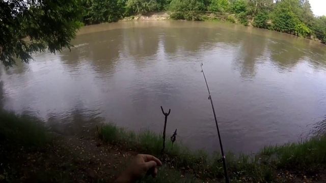 рыбалка на реке Сунжа, ловля Усача смотреть онлайн