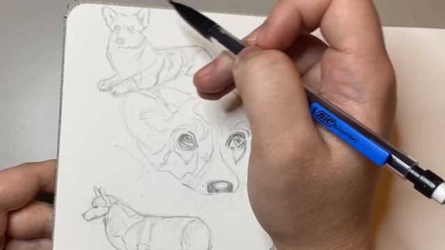 Drawing Corgi's │ Sketch with Me смотреть онлайн