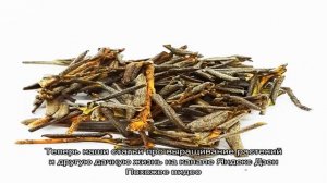 Трава саган-дайля лечебные свойства природного энергетика