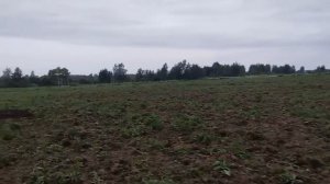 Грандиозные и шокирующие находки на деревне которая пропала с карт!Коп старины с металлоискателем!