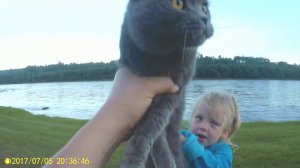 Река прибывает