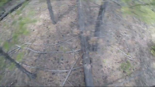 Медведь съел лошадь (ту, которая умерла при родах) / ОХОТА НА ВОЛКА смотреть онлайн