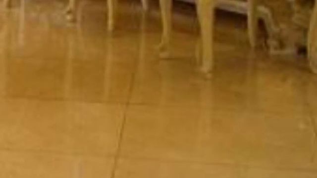 ЗВЕЗДНЫЙ ДОМ ШАХРУКХ КХАНА смотреть онлайн