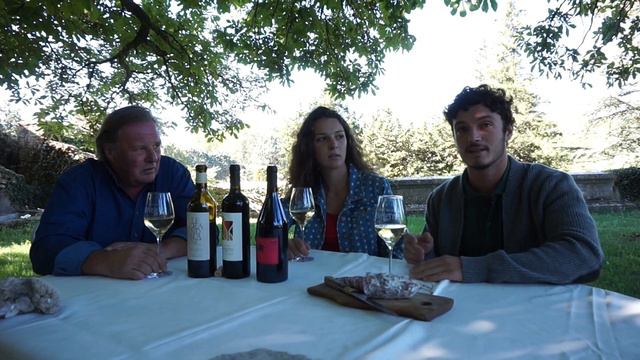 Les VINS de PROVENCE : La tradition et la vinification au Château Revelette - Les 5 V смотреть онлайн