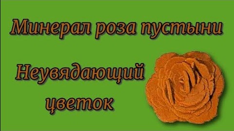 Минерал роза пустыни Неувядающий цветок. смотреть онлайн