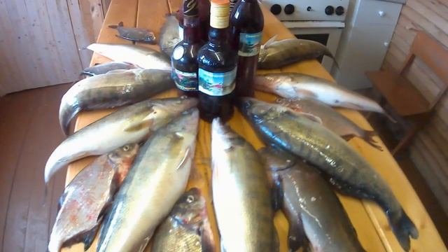 Ого-го, вот это сюрприз- к ракам пришли лини, а как у Вас относятся к москвичам _рыбалка 2020_.mp4