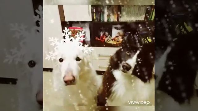 Новый Год. Царь и Космос 2021 смотреть онлайн