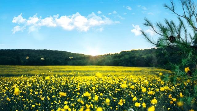 Цитаты Иосифа Бродского смотреть онлайн