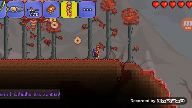 Terraria mod apk showcase смотреть онлайн