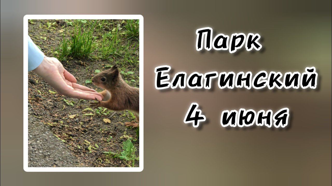 Прогулка по парку. 4 июня 2024 г.