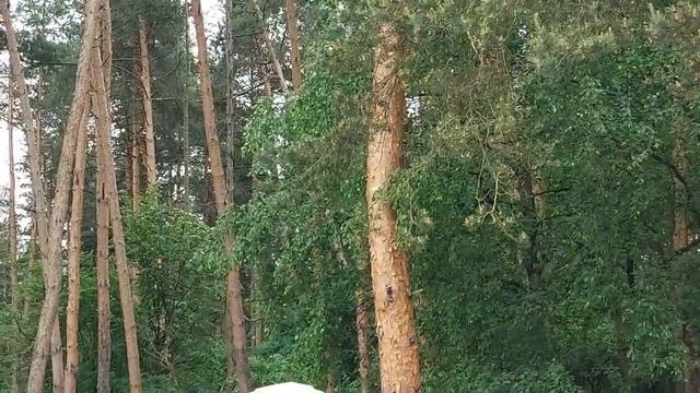 ВНИМАНИЕ! СЕГОДНЯ СОВМЕСТНЫЙ РИТУАЛ В 21:00. ВЕДЬМИНА ИЗБА - ИНГА ХОСРОЕВА смотреть онлайн