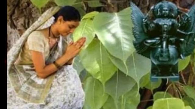 Kartik Snan 2023 | कार्तिक स्नान के नियम विधि एवं सावधानियाँ |दो काम करने के बाद ही सुबह स्नान करें смотреть онлайн