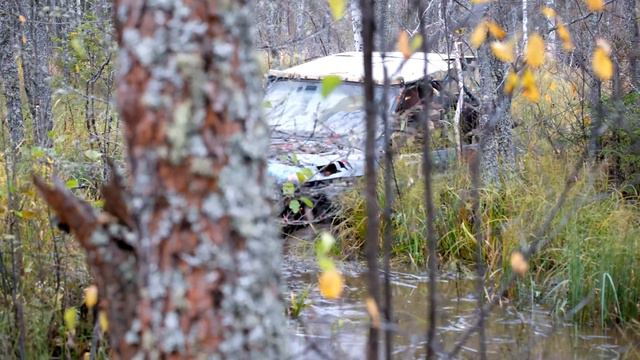 ТаЁжный Ручей 2018. 14 экипаж смотреть онлайн