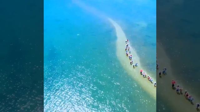 Hidden pathway to beauty of Nhat Tu Son, Phu Yen, Viet Nam смотреть онлайн