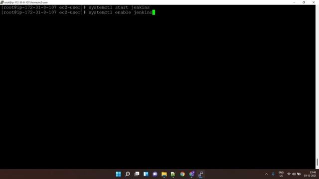 Installing & Configure Jenkins on Amazon Linux смотреть онлайн