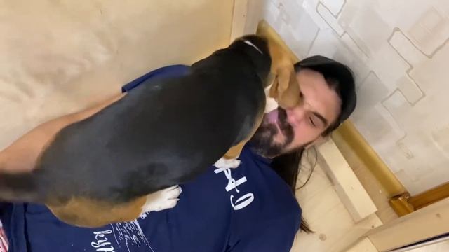 ВОЛЬЕР ДЛЯ СОБАКИ/СВОИМИ РУКАМИ/НАЁМНЫЙ РОДСТВЕННИК смотреть онлайн