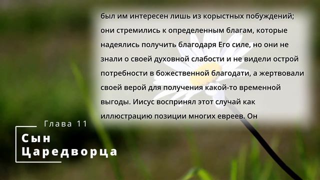 Библия по простому - гл.11 "Сын царедворца", Книга: Дух Пророчества, т.2 - Е. Уайт. смотреть онлайн
