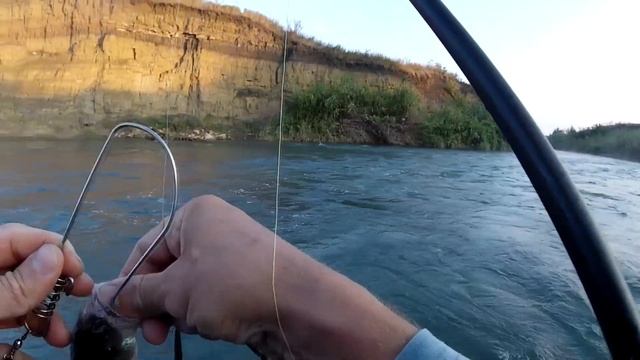 Рыбалка, ловля окуня на блесну на реке Егорлык смотреть онлайн