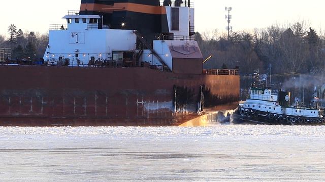 Stewart J Cort смотреть онлайн