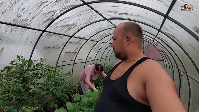 ВЛОГ! Что же делать???Как избавиться от тли на баклажанах и перцах? Огородные хлопоты//Простая жизн смотреть онлайн