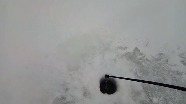 Первая рыбалка в 2021!/Ловля окуня на багрилку смотреть онлайн