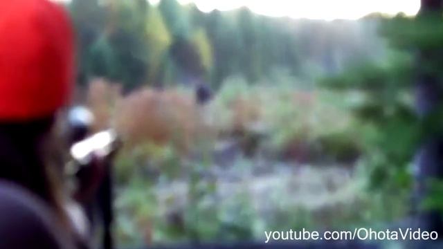 Лена стреляет в лося. Охота на лося на реву 2012-2013 Moose hunting in Russia. смотреть онлайн