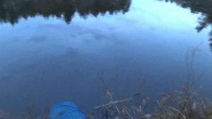 Посидел вечерком на Налима! Ловля Налима в Ноябре!