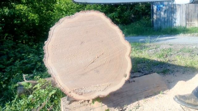 Stihl MS462 vs Husqvarna 372XP (same bar and chain) смотреть онлайн