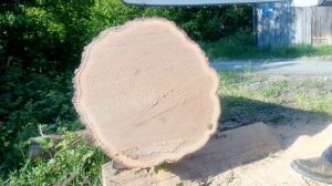 Stihl MS462 vs Husqvarna 372XP (same bar and chain)