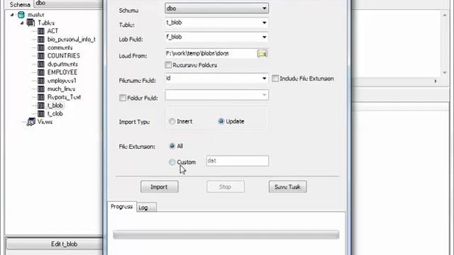 Batch update SQL Server [IMAGE, VARBINARY(MAX)] (BLOB) field data from files смотреть онлайн