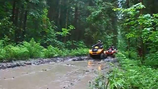 Сафари на квадроциклах в июне www.kvadroostrov.ru смотреть онлайн