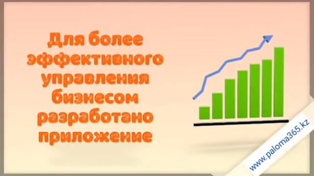 Paloma 365 Boss мобильное приложение для руководителя смотреть онлайн