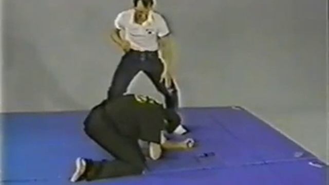 Ниндзюцу Роберта Басси   16 Avi