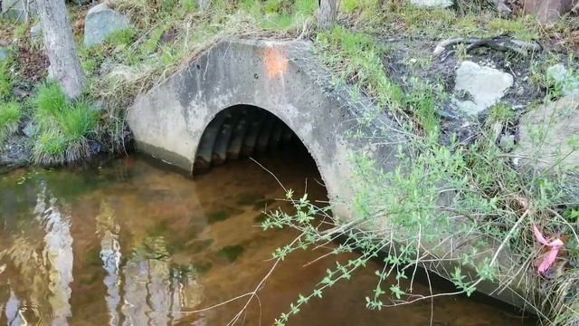 Unclogging New Lake Drain May 2020 смотреть онлайн