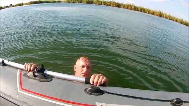 Сом на квок. Рыбалка и супер отдых на Маныче.