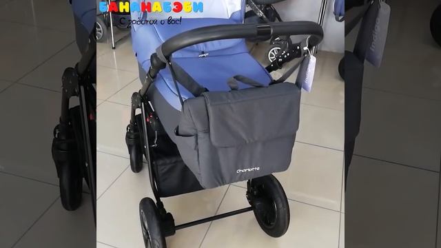 Коляска 2 в 1 Indigo CHARLOTTE Sity смотреть онлайн