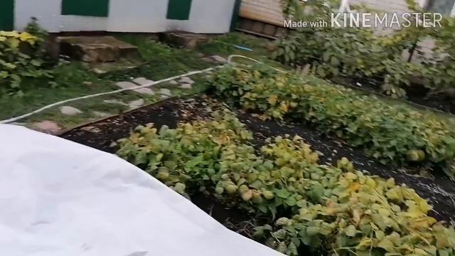 Уборка двора. Лучше, замуж отдать. 😄Деревенская жизнь. смотреть онлайн