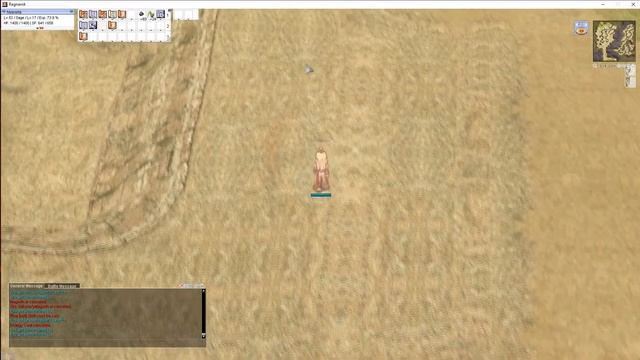 Ragnarok Transcendence Sage Leveling 40-70 смотреть онлайн