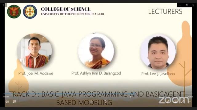 SINSM Track D: Basic Java Programming and Basic Agent-Based Model (Day 2) смотреть онлайн