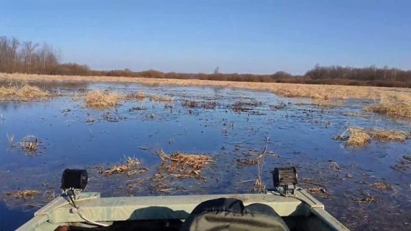 Болотоход + Аэро 30 лс.  MAX Motor