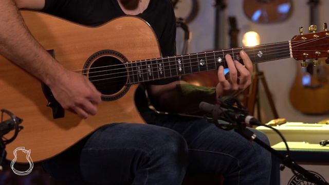 Ervin Somogyi Modified Dreadnought Cutaway, Brazilian Rosewood & Sitka Spruce demo смотреть онлайн