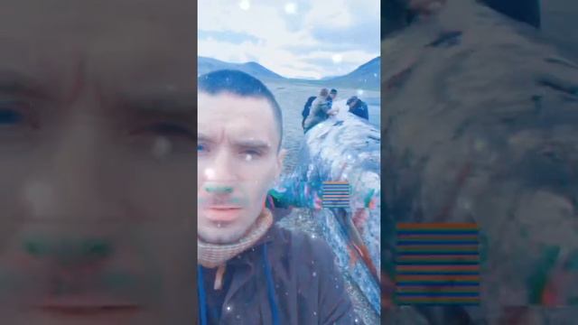 Дмитрий Данилов «Берег счастья», слова Лео Профит, музыка Дмитрий Данилов. смотреть онлайн