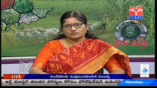 T-SAT || రైతుమిత్ర - వ్యవసాయం : వేసవిలో పశుగ్రాసాల కొరత అధిగమించడానికి సూచనలు || Live смотреть онлайн