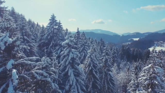 Что такое Сибирское здоровье? смотреть онлайн